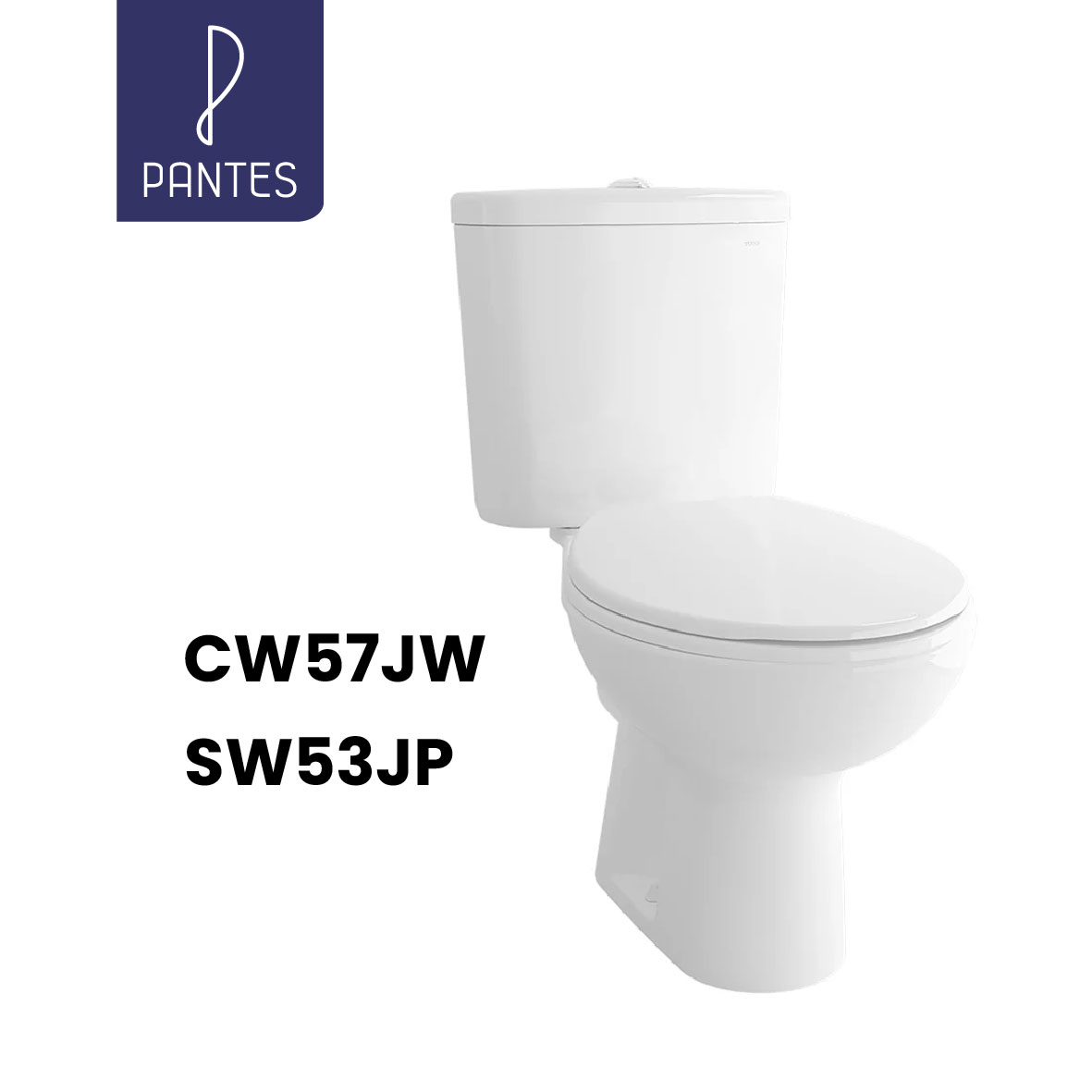 SW53JP/53-2W
